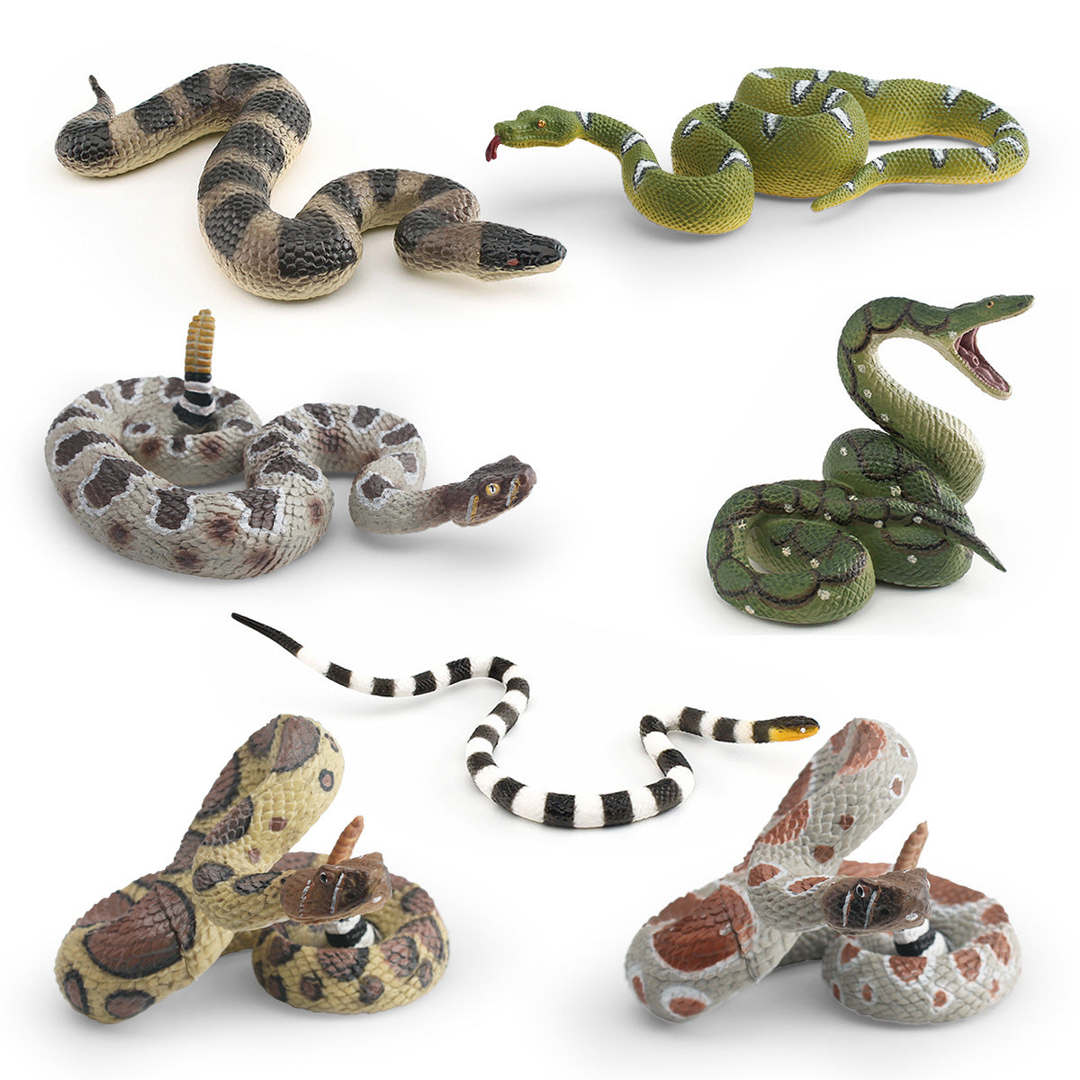 Simulation wild reptile model children's cognitive tummy giant coral snake boa trick decoration