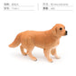 Cross-border Simulation Dog Model Golden Retriever Bona Mountain Dog St. Bernard Short-legged Corgi Desktop Static Ornaments