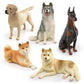 Cross-border simulation Labrador Shiba Inu husky Doberman model children's cognitive pet dog decoration toy