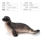 Simulation of marine animal model suit 10 solid seal sea lion walrus static ornaments hand toys