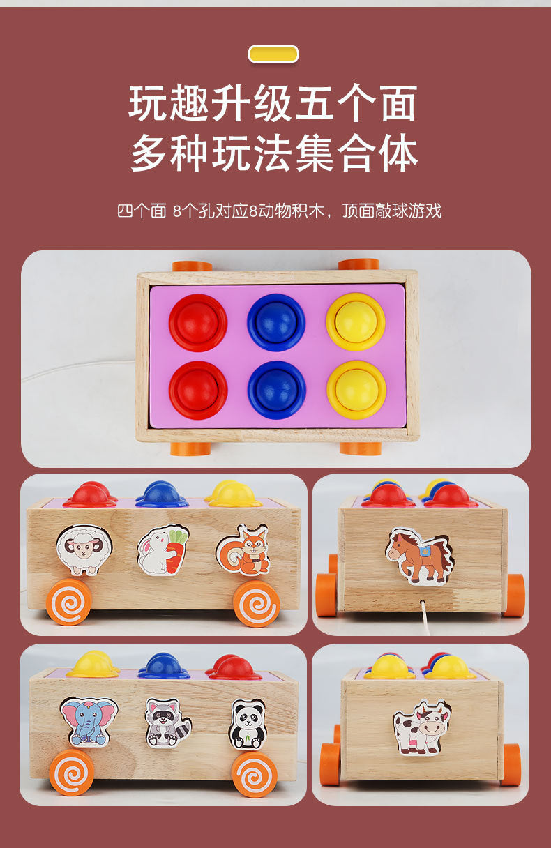 3 Cross-Border Kidsren's Educational Toys Farm Orchard Shape Building Blocks Matching Insect Catching and Carrot Pulling Intelligence Box Toys