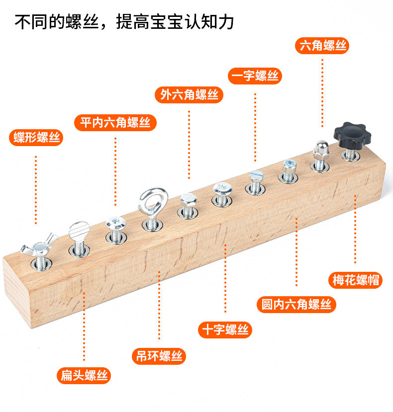 Montessori Early Education Wooden Toys Screw Dismounting Tools Use Exercise Cognitive Toys Kindergarten Small Class