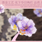 Pick up Pet Flower Sticker Pack, Hot Stamping Handbook DIY Decorative Material Stickers, 20 Pieces in Cross-Border 6 Styles