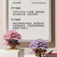 Wow, custom cherry tree building blocks assembled children's toys boys and girls Valentine's Day gift Jihui M2109