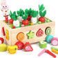 3 Cross-Border Kidsren's Educational Toys Farm Orchard Shape Building Blocks Matching Insect Catching and Carrot Pulling Intelligence Box Toys