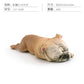 Cross-border Children's Cognitive Simulation Pet Dog Model Sleeping Posture French Bulldog Chai Dog Decorative Ornament Toy