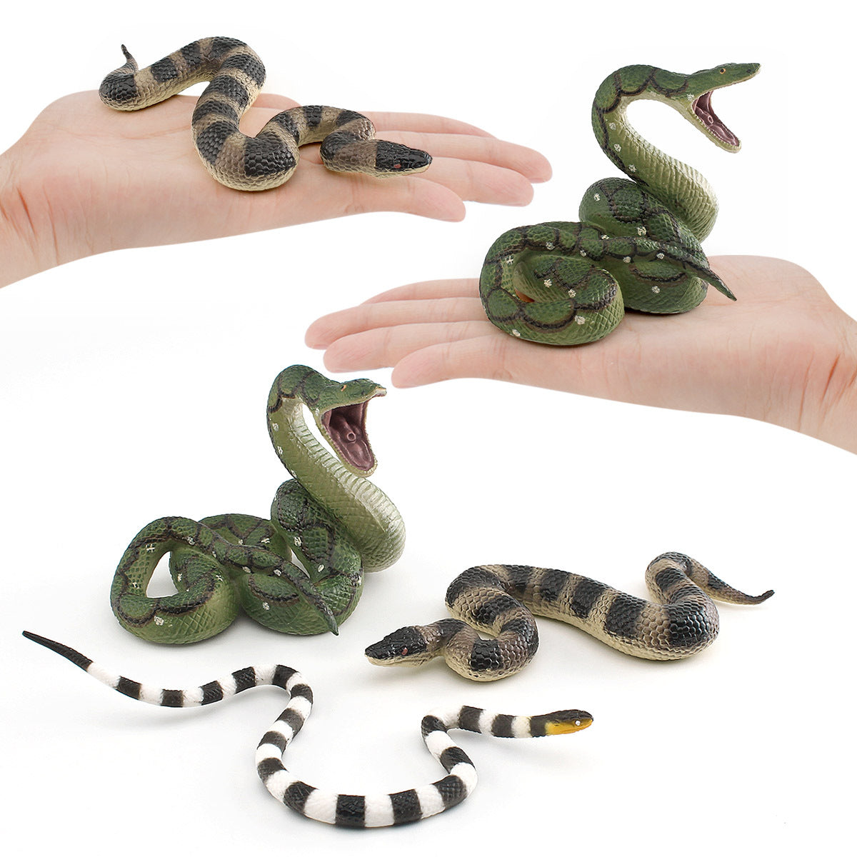 Simulation wild reptile model children's cognitive tummy giant coral snake boa trick decoration