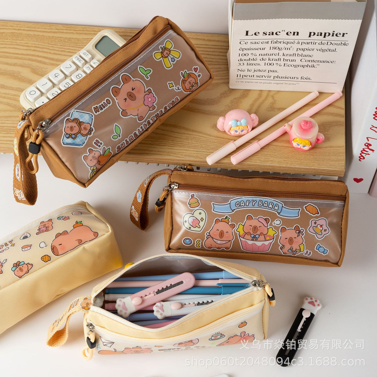 Double-Layer Capibara Pencil Case 2025 New Model Large Capacity Transparent Stationery Box for Girls and Boys Primary School Students Pencil Bag