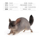 Children's Puzzle Early Education Cognitive Simulation Mouse Model Toy Static Solid Possum Guinea Piga Hair Mouse Totoro