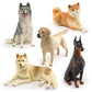 Cross-border simulation Labrador Shiba Inu husky Doberman model children's cognitive pet dog decoration toy