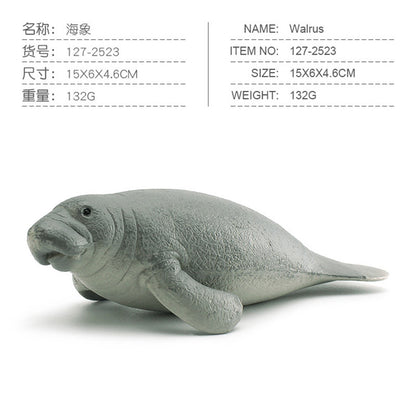 Simulation of marine animal model suit 10 solid seal sea lion walrus static ornaments hand toys