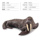 Simulation of marine animal model suit 10 solid seal sea lion walrus static ornaments hand toys