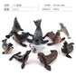 Simulation of marine animal model suit 10 solid seal sea lion walrus static ornaments hand toys