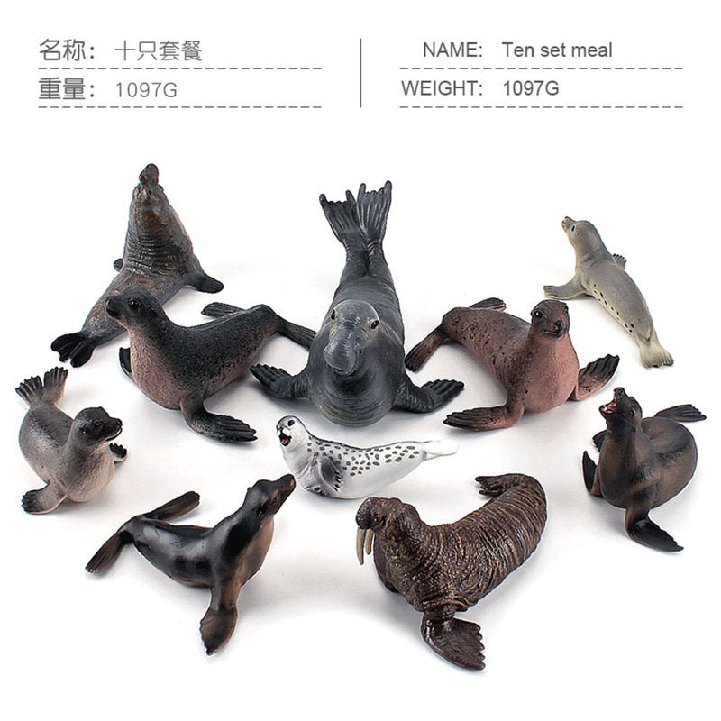 Simulation of marine animal model suit 10 solid seal sea lion walrus static ornaments hand toys