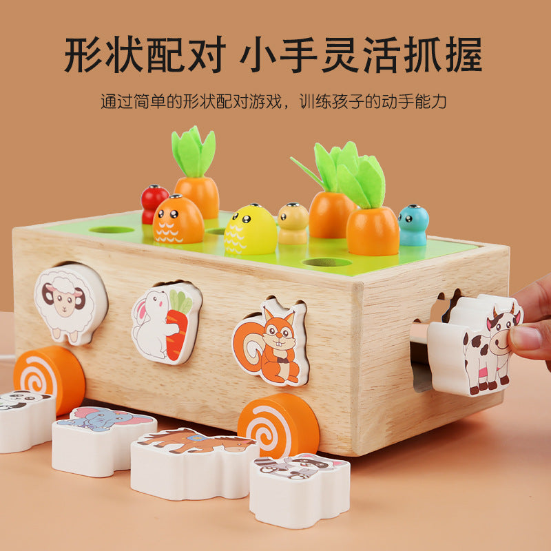 3 Cross-Border Kidsren's Educational Toys Farm Orchard Shape Building Blocks Matching Insect Catching and Carrot Pulling Intelligence Box Toys