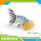 Cross-border export simulation ornamental fish with base model mini goldfish Koi set Marine static ornaments toy