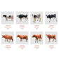 Strict Selection of Cross-border Amazon Simulation Small Animal Model Toy Farm Cow Creative Educational Children's Toys Wholesale