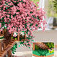 Cross-border TEMU Compatible Lego Sakura Tree House Rainbow Tree Blocks Children's Educational Assembled Toys for Girls Gift