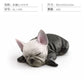 Cross-border Children's Cognitive Simulation Pet Dog Model Sleeping Posture French Bulldog Chai Dog Decorative Ornament Toy