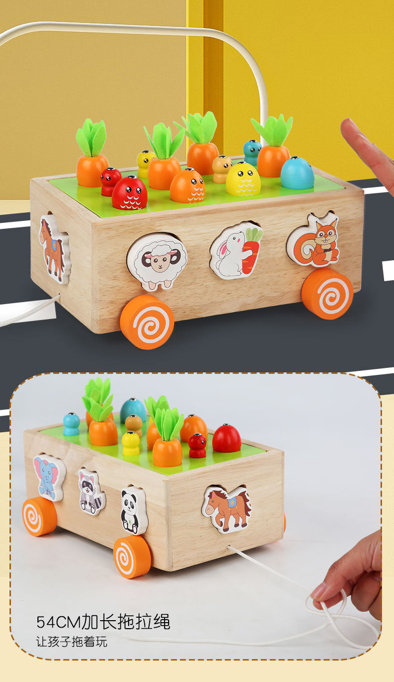 3 Cross-Border Kidsren's Educational Toys Farm Orchard Shape Building Blocks Matching Insect Catching and Carrot Pulling Intelligence Box Toys