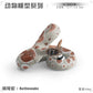 Simulation wild reptile model children's cognitive tummy giant coral snake boa trick decoration