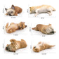 Cross-border Children's Cognitive Simulation Pet Dog Model Sleeping Posture French Bulldog Chai Dog Decorative Ornament Toy