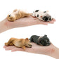 Cross-border Children's Cognitive Simulation Pet Dog Model Sleeping Posture French Bulldog Chai Dog Decorative Ornament Toy