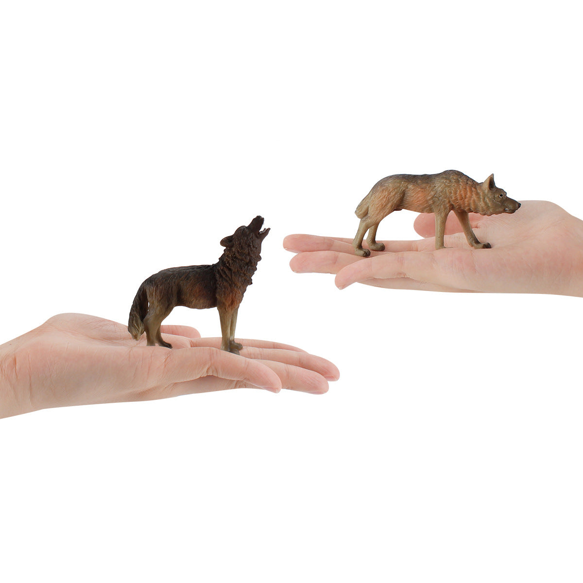 Children's Science and Education Toy Wild Animal Wolf Model Roaring Standing Wolf Little Wolf Cub Wild Wolf Group Static Desktop Craft