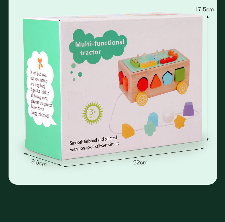 3 Cross-Border Kidsren's Educational Toys Farm Orchard Shape Building Blocks Matching Insect Catching and Carrot Pulling Intelligence Box Toys