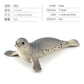 Simulation of marine animal model suit 10 solid seal sea lion walrus static ornaments hand toys