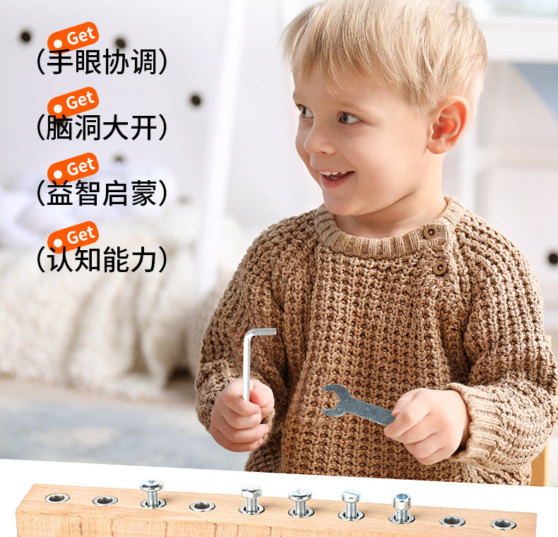 Montessori Early Education Wooden Toys Screw Dismounting Tools Use Exercise Cognitive Toys Kindergarten Small Class
