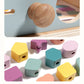 Montessori Classification Early Education Coin Box Baby Color Cognitive Shape Building Blocks Matching Teaching Aids Baby Educational Toys