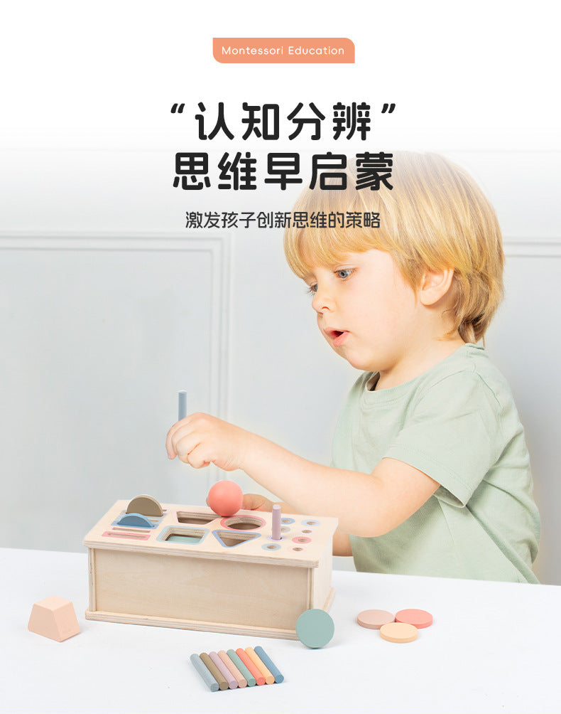 Montessori Classification Early Education Coin Box Baby Color Cognitive Shape Building Blocks Matching Teaching Aids Baby Educational Toys