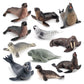 Simulation of marine animal model suit 10 solid seal sea lion walrus static ornaments hand toys