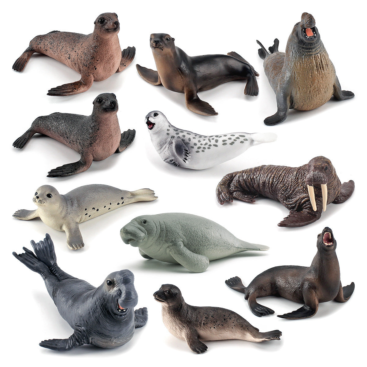 Simulation of marine animal model suit 10 solid seal sea lion walrus static ornaments hand toys