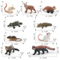 Cross-border simulation short tail bobcat panda mouse platypus ferret Thorn tail rock lizard wild animal model ornaments