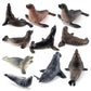 Simulation of marine animal model suit 10 solid seal sea lion walrus static ornaments hand toys