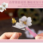 Pick up Pet Flower Sticker Pack, Hot Stamping Handbook DIY Decorative Material Stickers, 20 Pieces in Cross-Border 6 Styles