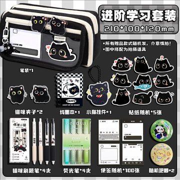 Cat Pencil Bag Large Capacity Transparent Storage Bag for Girls 2025 New Super Popular Stationery Box Student High-Looking Pencil Bag