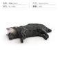 Cross-border Children's Cognitive Simulation Pet Dog Model Sleeping Posture French Bulldog Chai Dog Decorative Ornament Toy