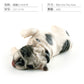 Cross-border Children's Cognitive Simulation Pet Dog Model Sleeping Posture French Bulldog Chai Dog Decorative Ornament Toy