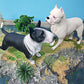 Cross-border simulation pet dog animal model doggy Spinger Bullhead terrier Rowena dog static ornaments