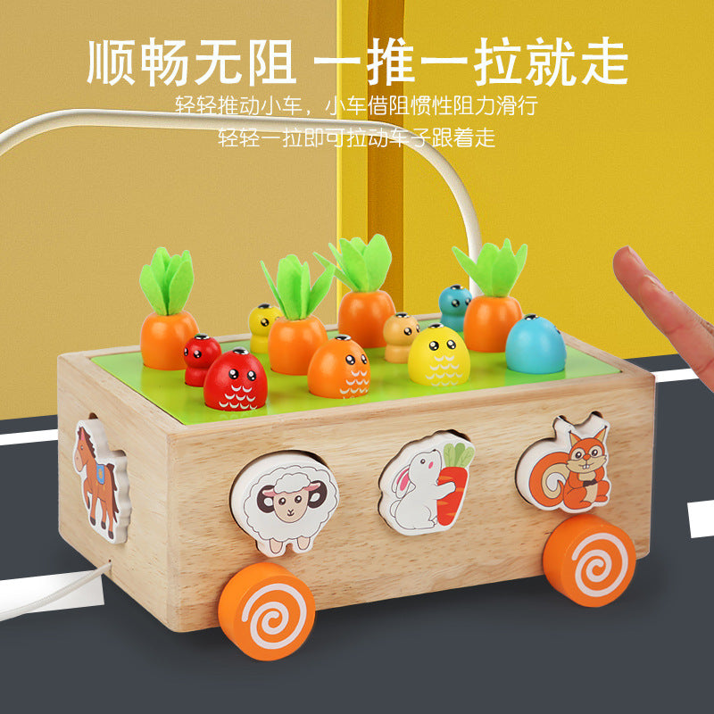 3 Cross-Border Kidsren's Educational Toys Farm Orchard Shape Building Blocks Matching Insect Catching and Carrot Pulling Intelligence Box Toys
