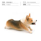 Cross-border Simulation Dog Model Golden Retriever Bona Mountain Dog St. Bernard Short-legged Corgi Desktop Static Ornaments
