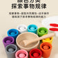 CPC Wooden Montessori Early Childhood Education Ball Ten Color Color Classification Cup Children Matching Game 10 Color Beaded Educational Toys