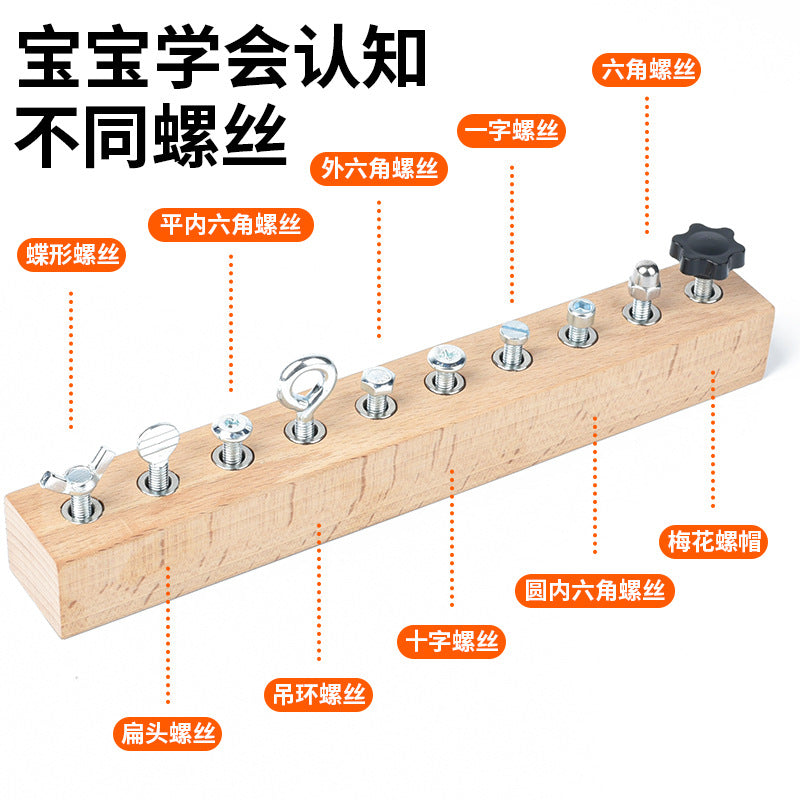 Montessori Early Education Wooden Toys Screw Dismounting Tools Use Exercise Cognitive Toys Kindergarten Small Class