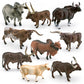 Cross-border simulation Texas Longhorn Watu West cow tumor cow charolai cow goer river buffalo model