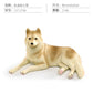 Cross-border simulation Labrador Shiba Inu husky Doberman model children's cognitive pet dog decoration toy