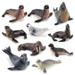 Simulation of marine animal model suit 10 solid seal sea lion walrus static ornaments hand toys