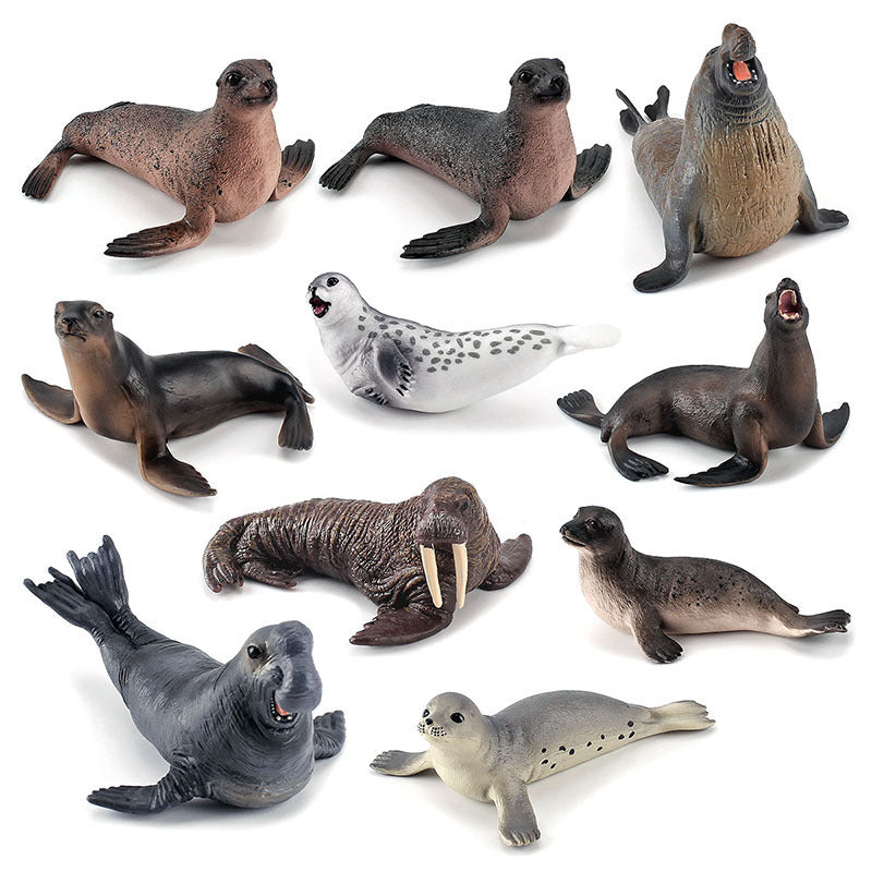 Simulation of marine animal model suit 10 solid seal sea lion walrus static ornaments hand toys